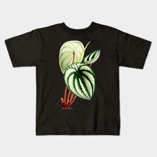 Peperomia argyreia - Curtis' botanical magazine - Botanical Illustration Kids T-Shirt